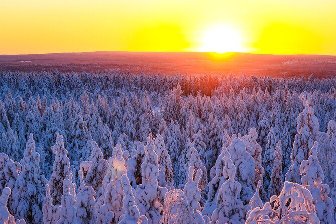 1-Hour Snowmobile Safari Adventure in Rovaniemi - What’s Included (and Why It Changes the Value)