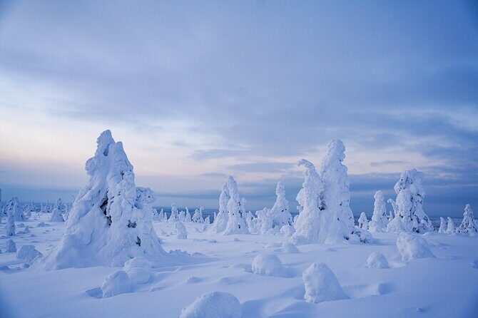Arctic Adventure through Magical Frozen Forests of Riisitunturi - Key highlights to look for