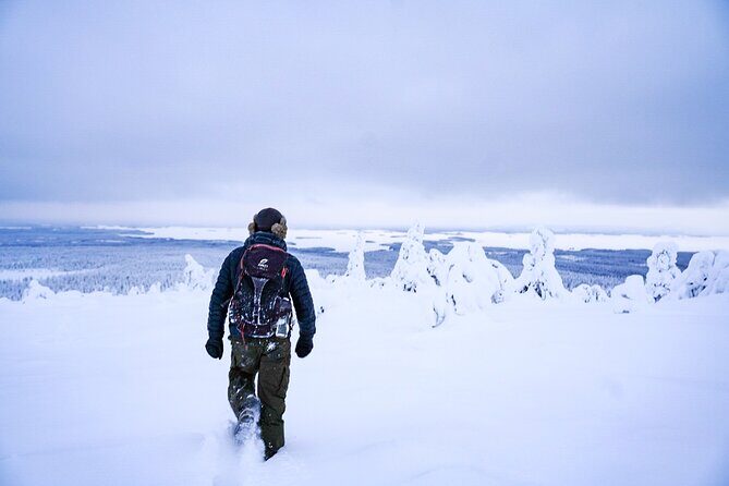 Arctic Adventure through Magical Frozen Forests of Riisitunturi - The 2-Hour Arctic Drive and the Small-Group Rhythm