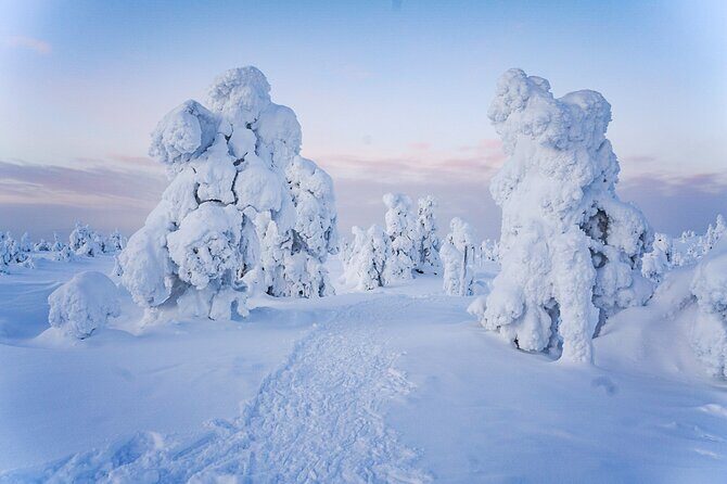 Arctic Adventure through Magical Frozen Forests of Riisitunturi - Campfire Warmth and Finnish Snack Time
