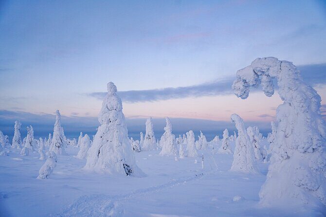Arctic Adventure through Magical Frozen Forests of Riisitunturi - Gear, Boots, and the Guide’s Role in a Safe Winter Day