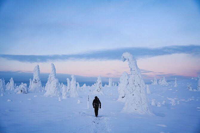 Arctic Adventure through Magical Frozen Forests of Riisitunturi - 4 Kilometres On Snow: How the Hike Really Works