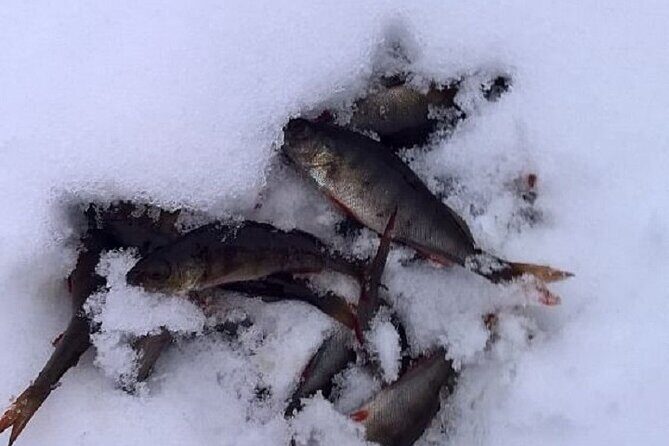 Arctic Day with Ice Fishing and Floating - Pickup, timing, and how to plan your morning