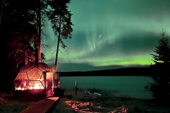 Aurora Borealis Dinner in a Glass Igloo - The 3-hour rhythm: dinner first, sky time built around it