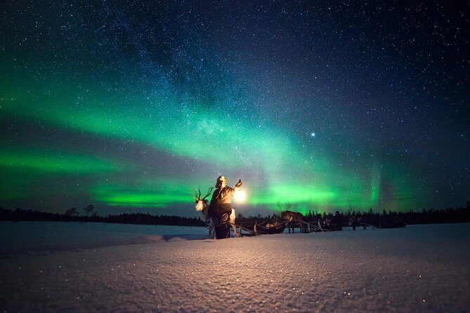 Aurora Hunting by Reindeer Sleigh - Key things to know before you go