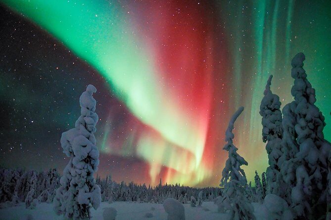 Auroras - Northern Lights Tours by Aurora Experts - Rovaniemi - Start at Rovakatu 26: Gear Pickup, Mobile Tickets, and a Late-Night Rhythm