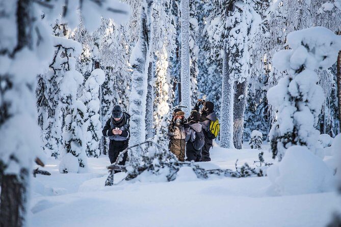 Explore the Wilderness - A 4 km Forest Hike Built for Weather and Photos