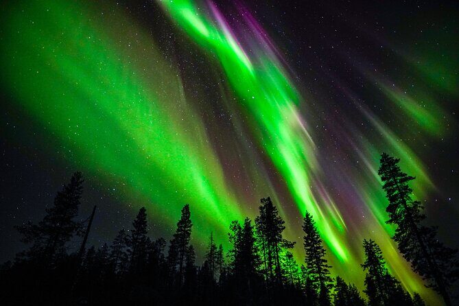 Family-Friendly: Northern Lights Adventure from Rovaniemi - Key things I’d mark on your itinerary