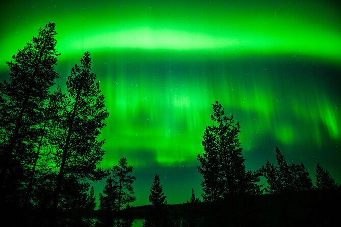 Family-Friendly: Northern Lights Adventure from Rovaniemi - Small-Group Touring From Rovaniemi: What 3 Hours Actually Feels Like