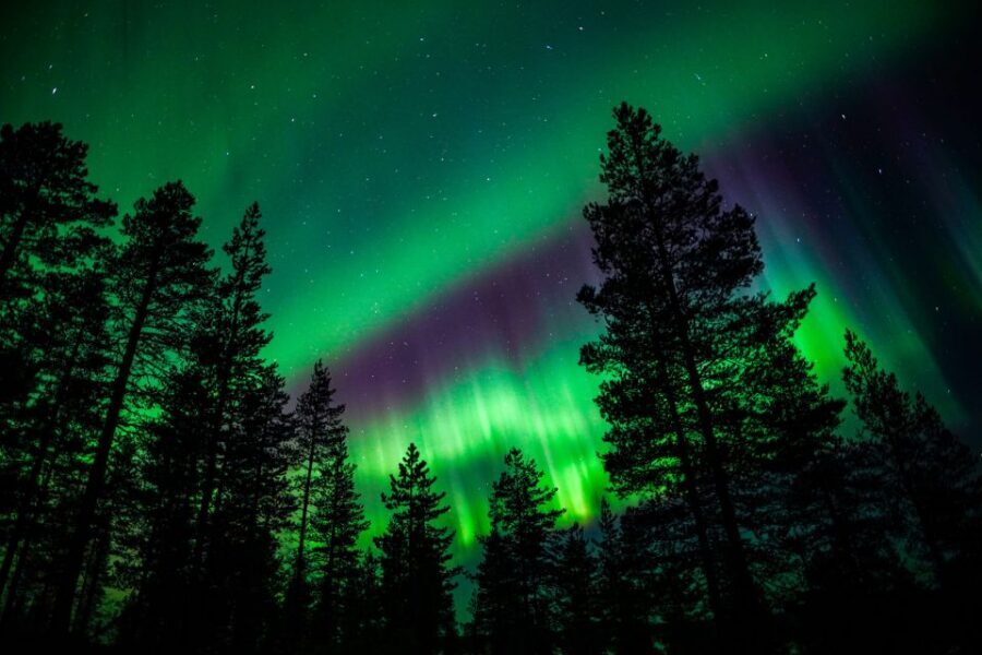 From Rovaniemi: Family-Friendly Northern Lights Tour - Key Points Worth Knowing