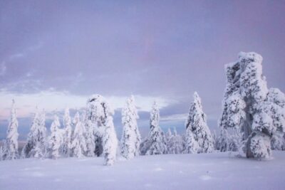 From Rovaniemi: Korouoma Canyon and Frozen Waterfalls Tour - Frozen waterfall viewpoints: what makes Korouoma’s ice special