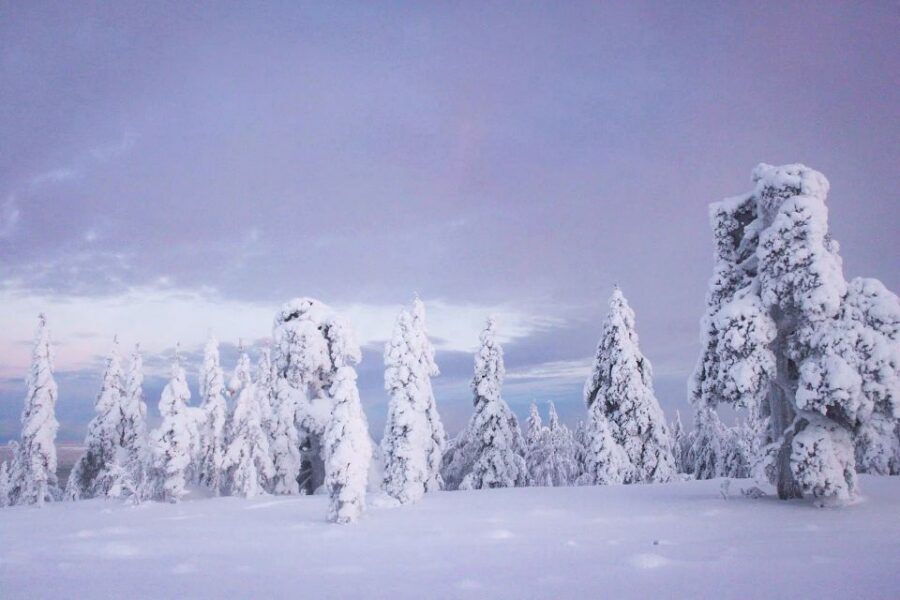 From Rovaniemi: Korouoma Canyon and Frozen Waterfalls Tour - Getting there from Rovaniemi: the van time is part of the experience