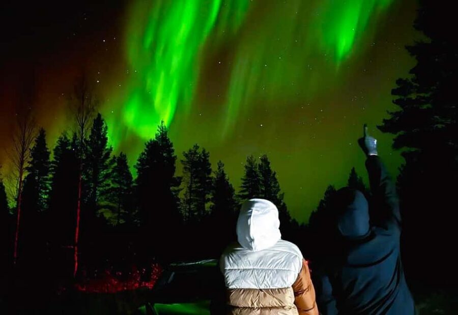 From Rovaniemi: Night Tour in Search of the Aurora with BBQ - Photos under the Arctic sky: what you can ask for