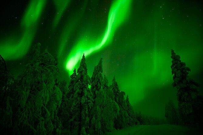 Guaranteed Northern Lights Hunting Adventure in Lapland - Wild About Lapland start: get suited up before you go anywhere