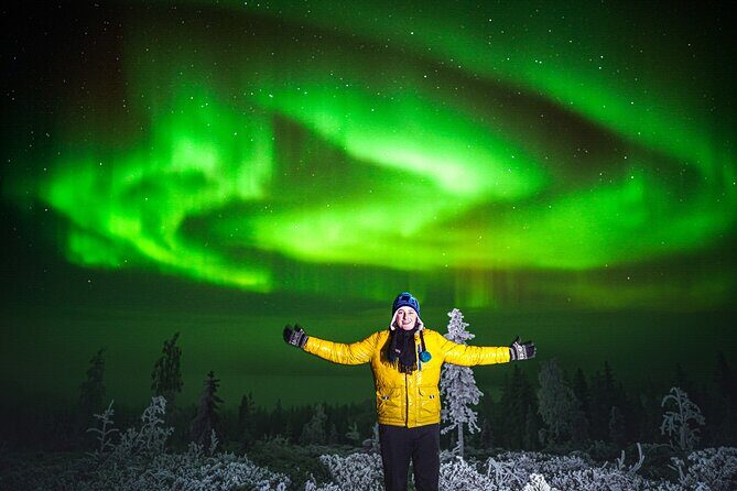 Guaranteed Northern Lights Hunting Adventure in Lapland - Who this northern lights hunt suits best