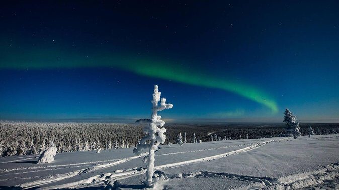 Hunting Northern Lights with Husky - Should you book Hunting Northern Lights with Husky?