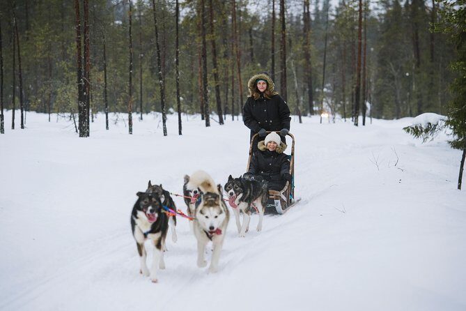 Husky Safari from Rovaniemi Including a Husky Sled Ride - 20 vs 30 minutes: what you’re really buying with your time