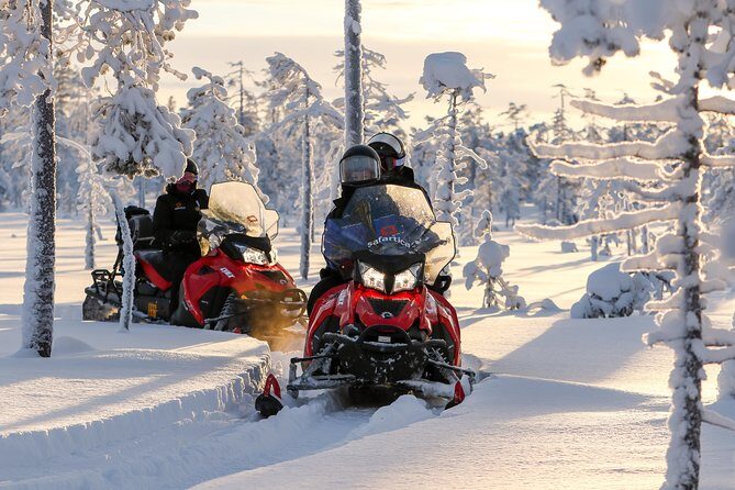 In Pursuit of Reindeer - Snowmobile safari to reindeer farm in Rovaniemi - From Safartica Office to Arctic Circle Country Roads