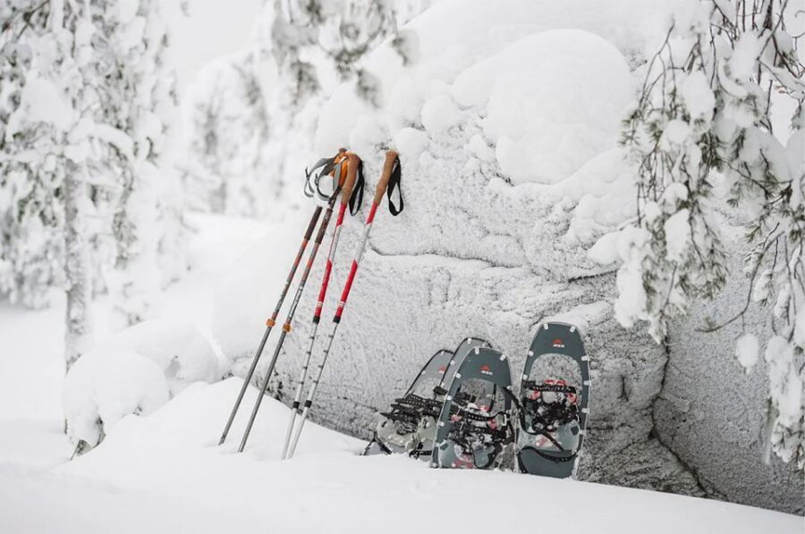 Lapland: Ice Fishing, Floating & BBQ Snow Adventure - Should You Book It?