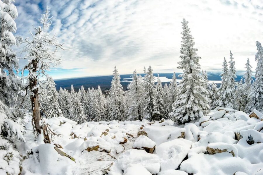 Lapland: The Frozen Waterfalls of Korouoma Tour - Walking Through the Arctic Circle Forests (And Why It’s the Point)