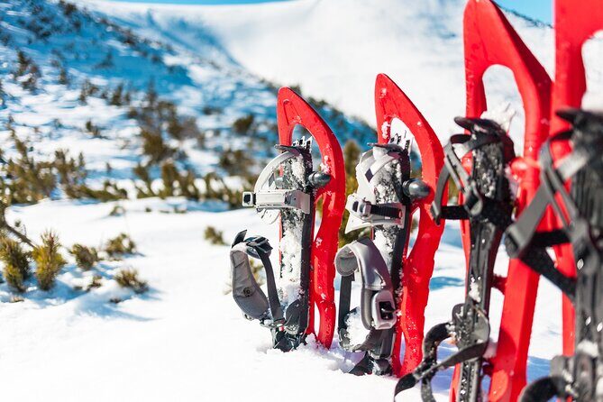 Lapland Winter Experience - Rovaniemi winter snowshoeing in 3 hours: what to expect