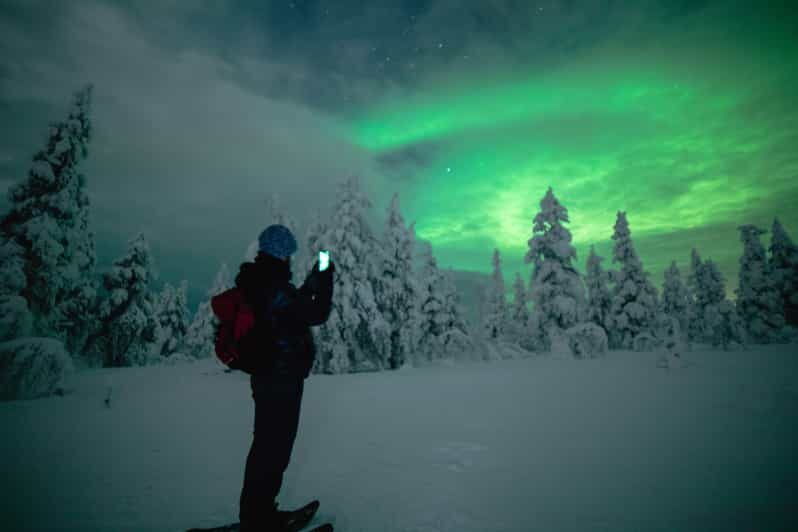 Night Snowshoeing Lapland Experience - Headlights, Rhythm, and How Snowshoe Walking Works at Night