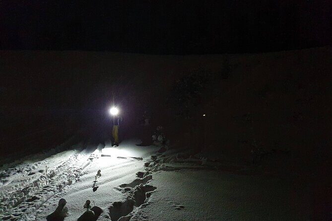 Nocturnal Skiing: Experience the Arctic's Magic - Trail Time in the Dark: Forests, Semi-Open Swamps, and Real Technique