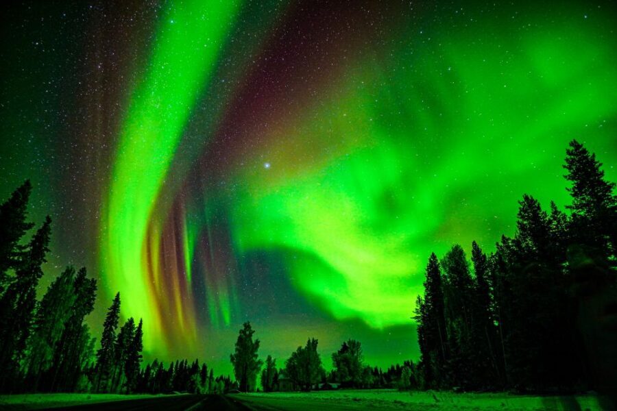 Northern Lights Hunting Adventure in Lapland - Photos Next Day: The Practical Value of a Professional Camera