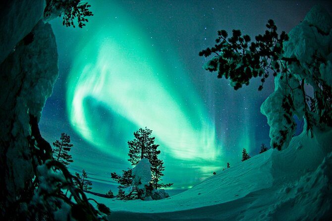 Northern Lights Photography Tour from Rovaniemi - The photography focus: what guides actually help with