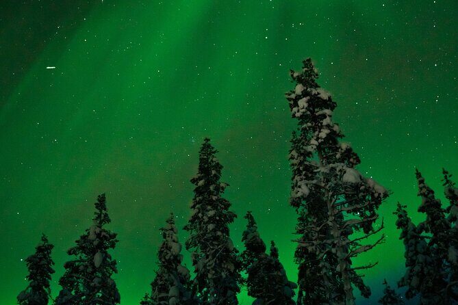 Northern lights Reindeer Sledge Ride - 7:00 pm timing: what changes as the Arctic night gets darker