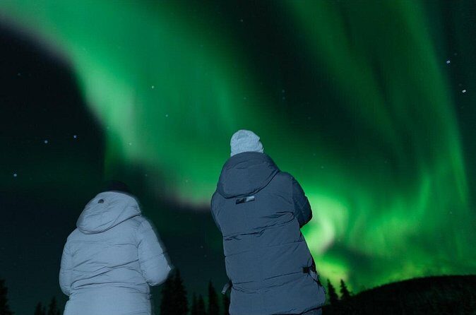 Northern Lights Rovaniemi: Guaranteed Tour with Local Guide - Comfort and Group Size: Why Small Numbers Matter in the Hunt