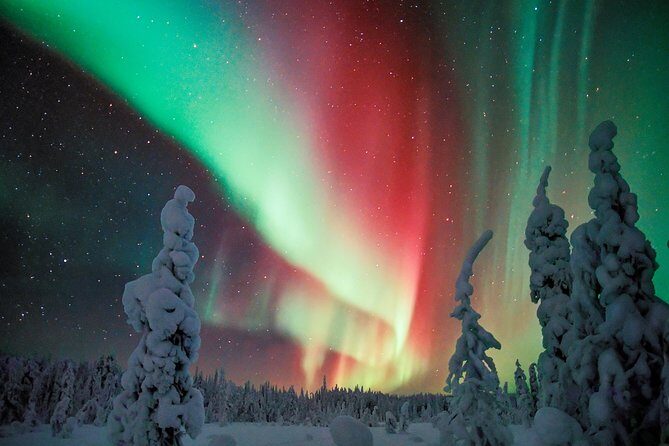 Northern Lights Snowmobile Driving Safari - Stargazing Lessons: Arctic Myths and Stars by Firelight