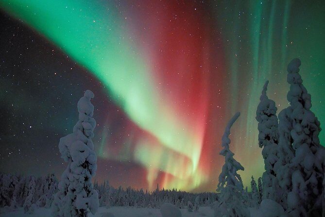 Northern Lights Snowmobile Safari from Rovaniemi with Campfire Picnic - Campfire Picnic: Grilled Sausages and Hot Drinks in the Cold
