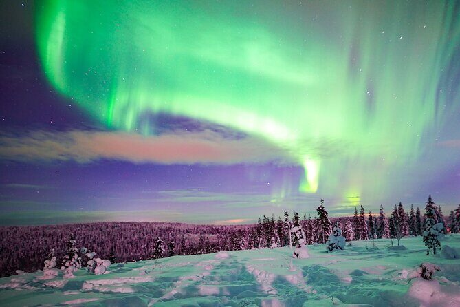 Northern Lights Wilderness Small-Group Tour from Rovaniemi - The Rovaniemi pickup and the first big win: you go prepared