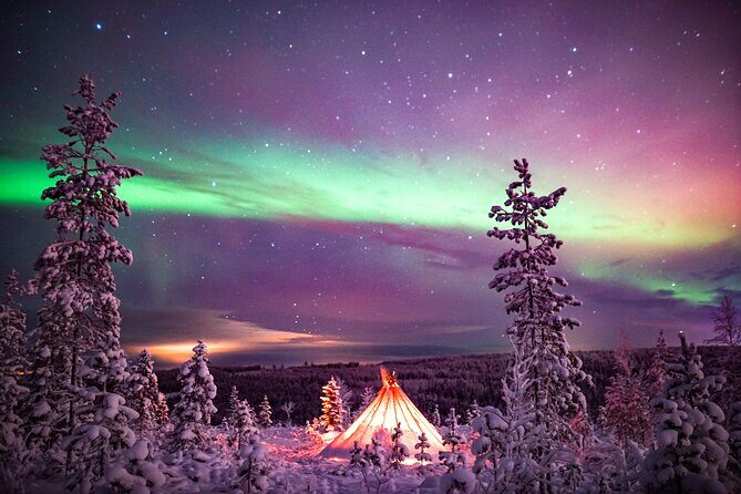 Northern Lights Wilderness Small-Group Tour from Rovaniemi - Timing and what “4 hours” feels like in real life