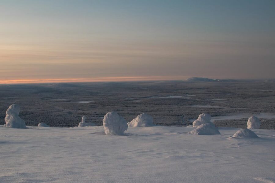 Pyhätunturi: Scenic Snowshoeing Tour in Finnish Lapland - The long guided walk through Pyhä-Luosto National Park (105 minutes)