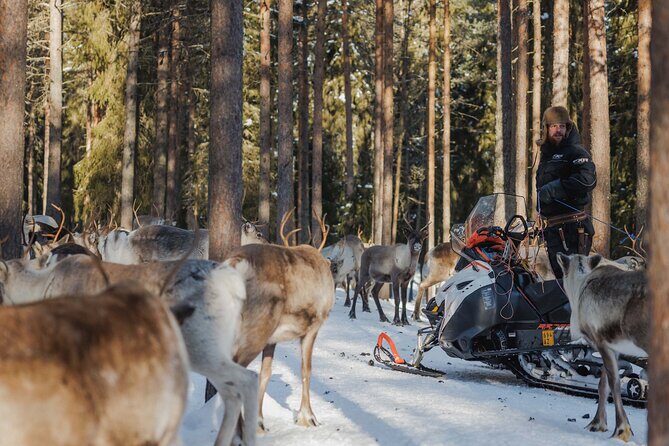 Reindeer Experience with Sledge Ride - The drive to Reindeer Manor and the gear moment