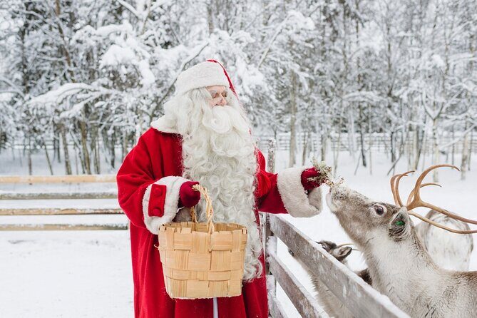 Reindeer Sleigh Ride and Farm Experience from Rovaniemi - Quick Take: Key Things You’ll Notice