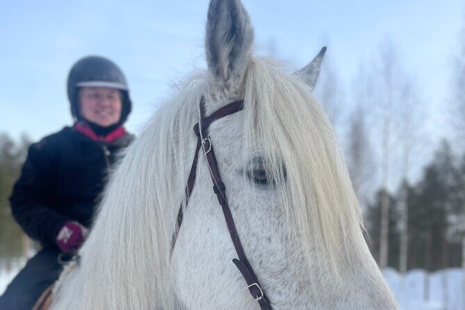 Riding Tour with Finnhorses at Santa Claus Village - The snowy trek on Finnhorses: calm riding and real winter views