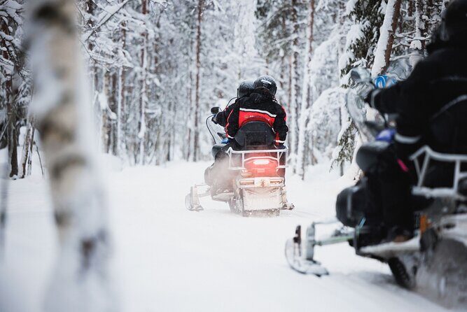 Rovaniemi 2 days Activities Package - Northern Lights quest: how to set your aurora expectations