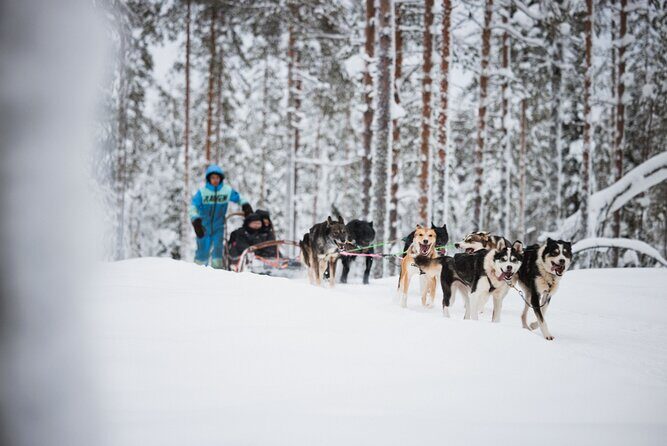 Rovaniemi 2 days Activities Package - Winter gear, safety, and the snowmobile liability detail