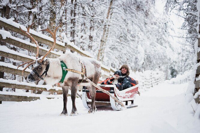 Rovaniemi 2 days Activities Package - Husky and reindeer sled rides: fast excitement vs calm motion