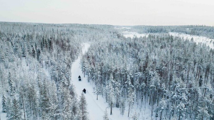 Rovaniemi: 3-Hour Snowmobile Safari in Lapland - What this 3-hour Lapland snowmobile safari really delivers