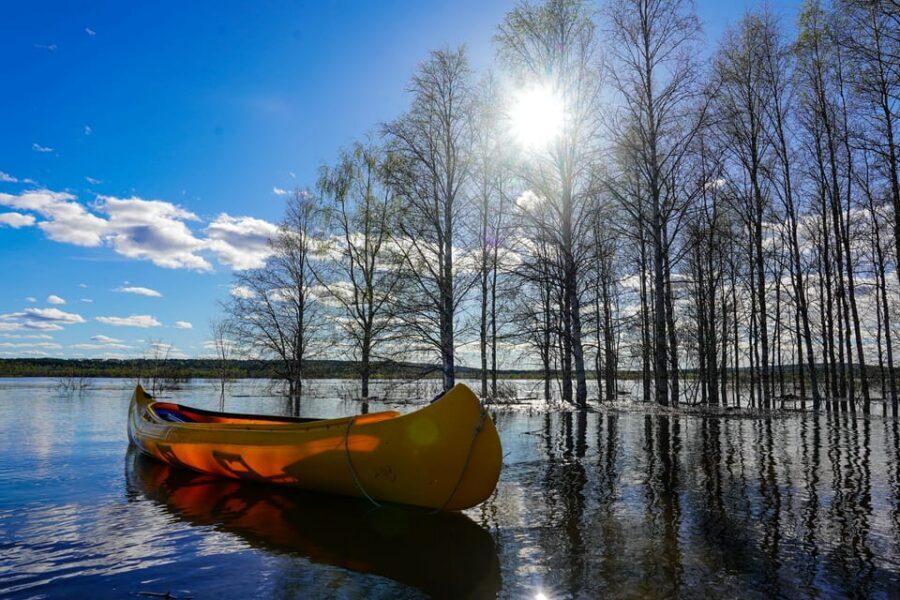 Rovaniemi: All-Day Canoe Adventure - Who This Canoe Adventure Fits Best (and Who Should Skip It)