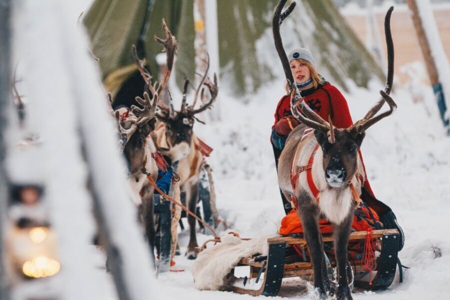 Rovaniemi: Apukka Reindeer Journey - Fireside Warmth: Hot Drink, Cookies, and Reindeer Stories