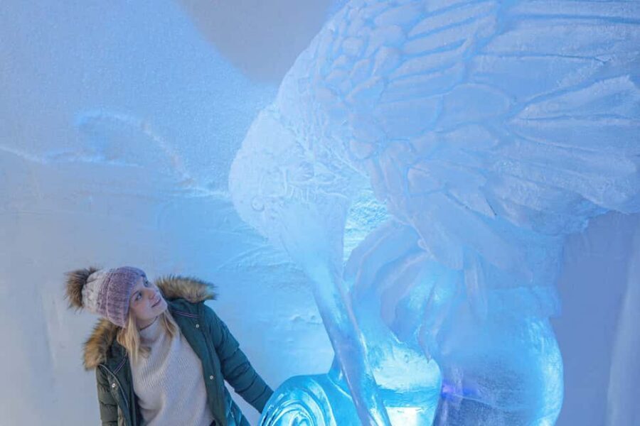 Rovaniemi: Arctic Snow Hotel Tour - Key highlights worth your time