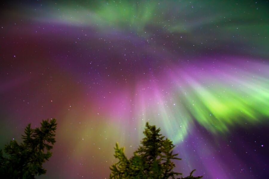 Rovaniemi: Aurora Borealis Snowmobile Safari with Campfire - The 4-hour flow: what happens from check-in to the last run