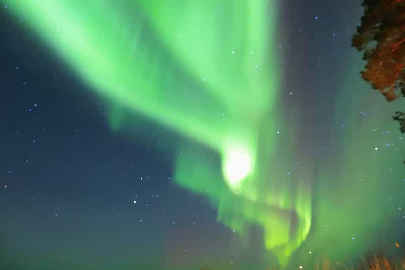 Rovaniemi: Aurora Borealis Trip – Autumn - Key highlights you’ll actually care about