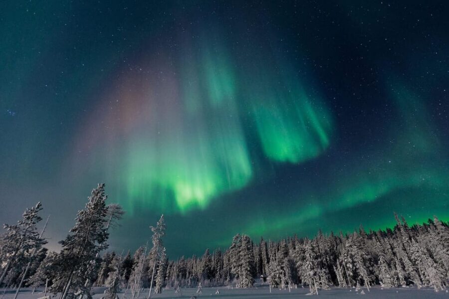 Rovaniemi: Aurora Hunting Tour in the Forest with Hot Drinks - Pickup options and the Arctic-ready comfort checklist