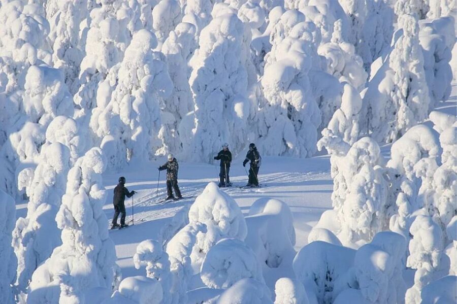 Rovaniemi: Cross Country Wilderness Ski Adventure - Key Points You Should Know Before You Go